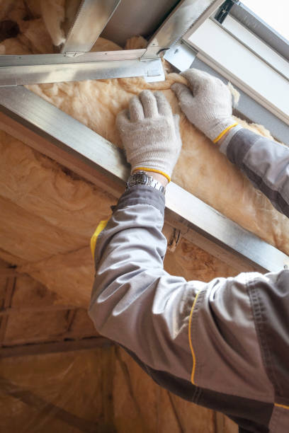 Best Commercial Insulation Services  in Hanahan, SC